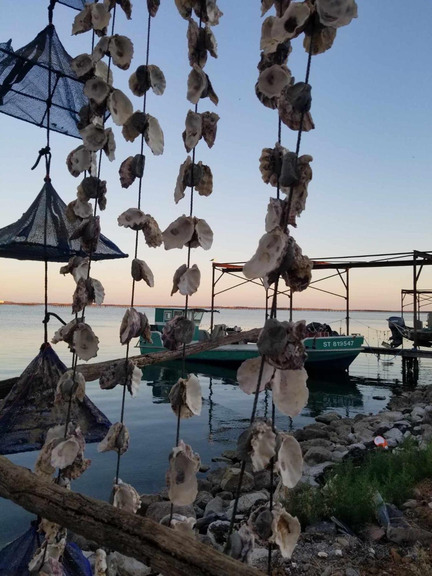 La Baraquette De Thau Villa Meze Luaran gambar