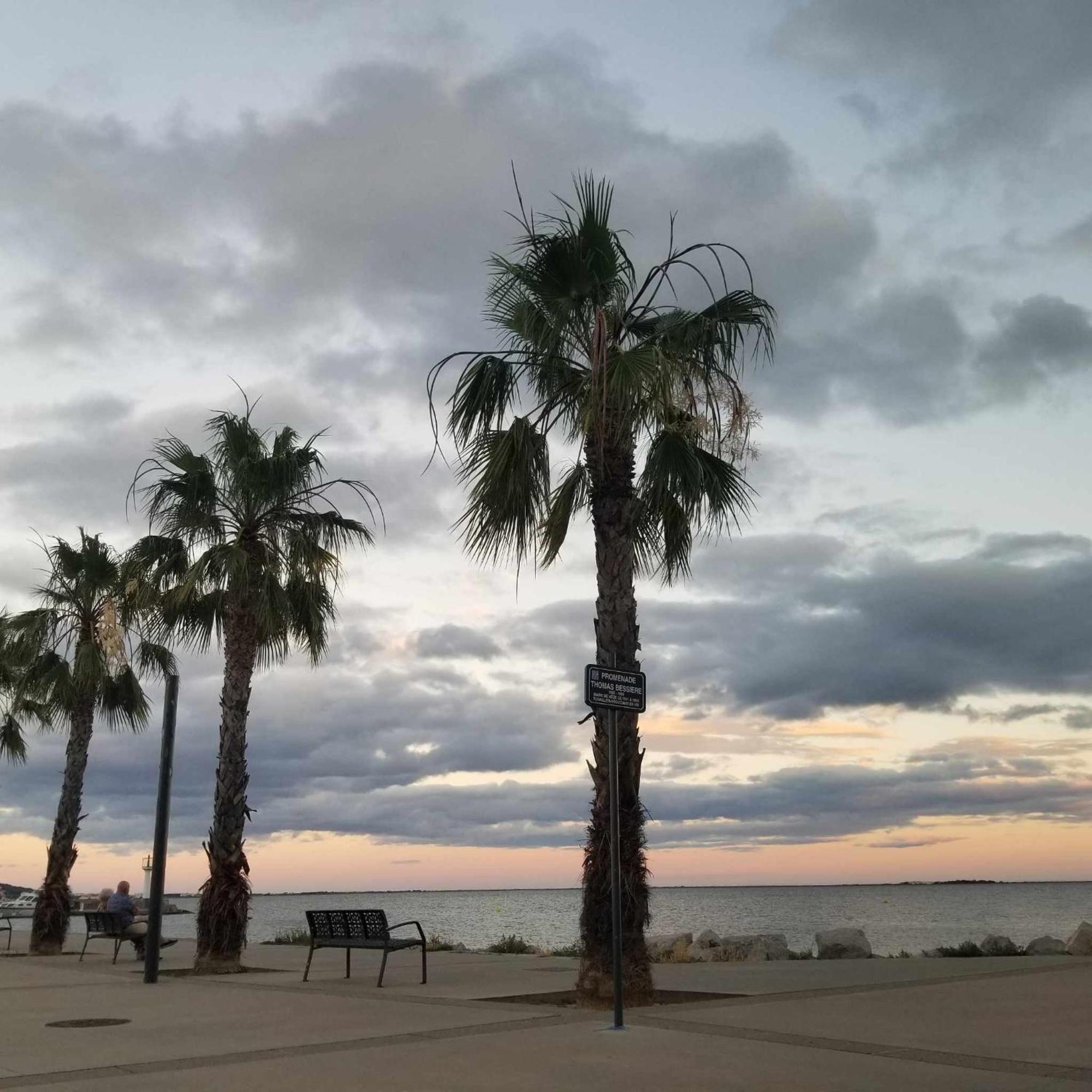 La Baraquette De Thau Villa Meze Luaran gambar